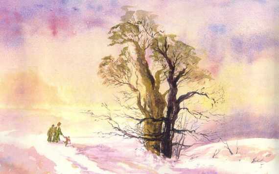 Morning After The Storm
